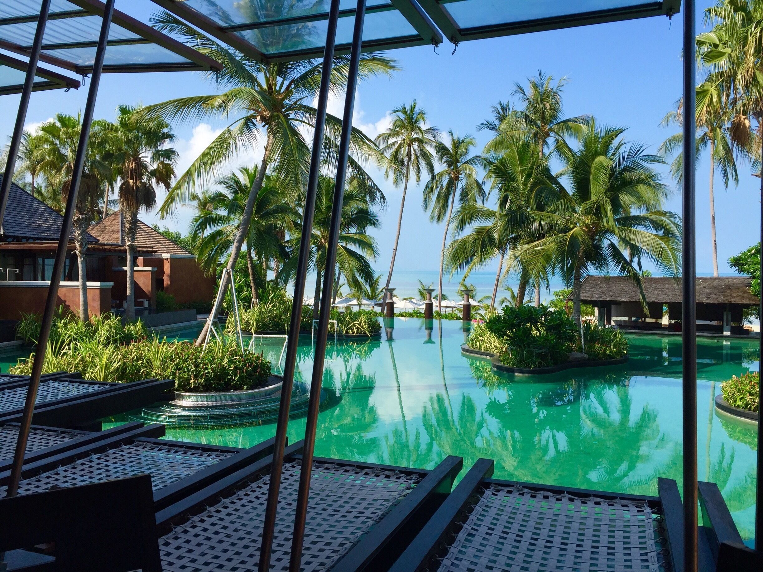 A resort pool with palm trees and a clear sky.