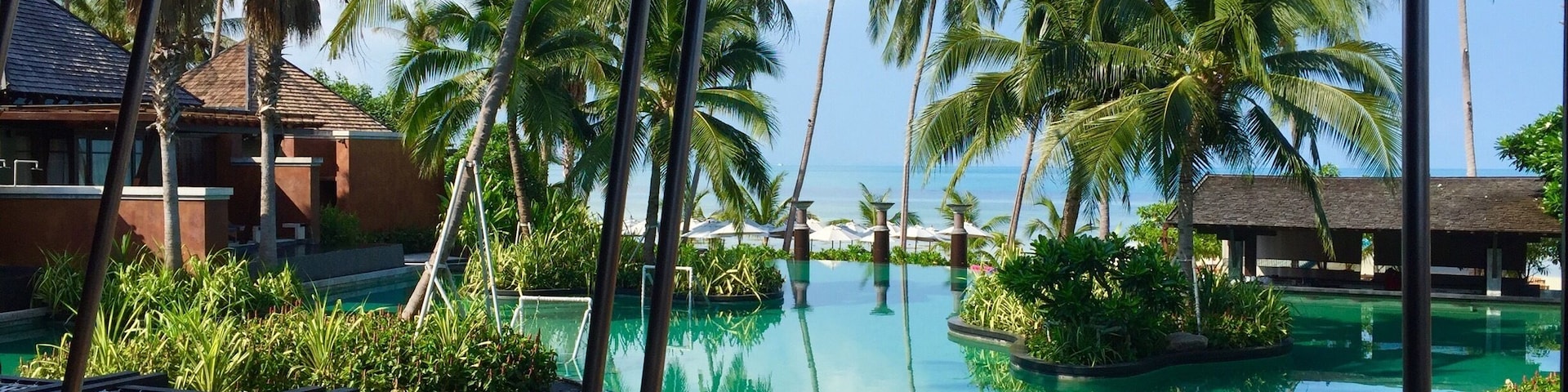 A resort pool with palm trees and a clear sky.