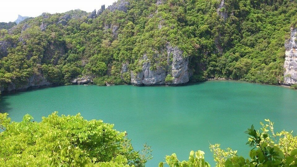 A marine National Park in Thailand near Koh Samui. A cheap (as usual) day trip out that's so much fun! 🌸