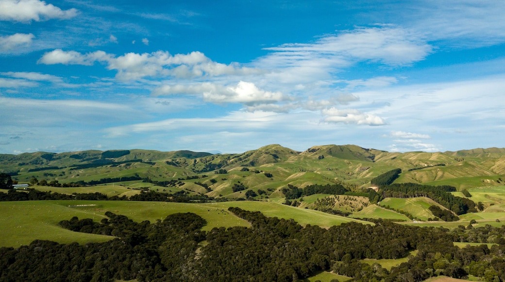 Marinborough New Zealand Panorama