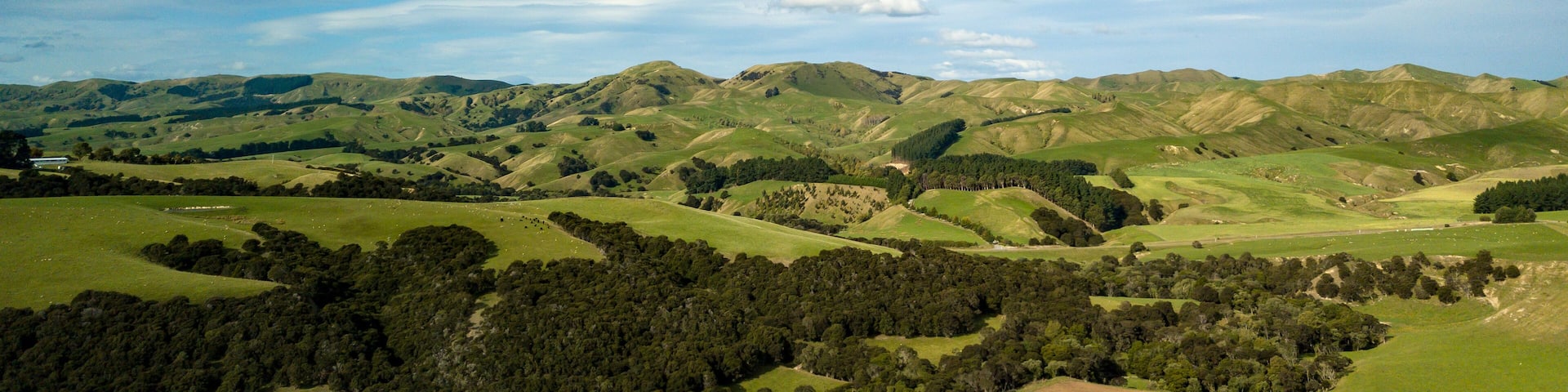 Marinborough New Zealand Panorama