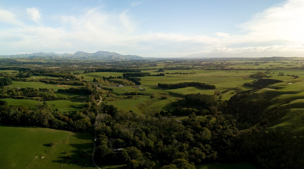 Amazingly Beautiful Martinborough Sunset Aerial Panorama