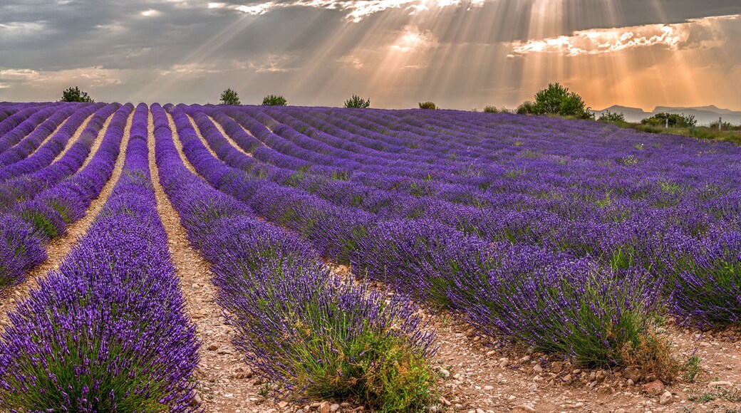 Chantemerle-les-Grignan