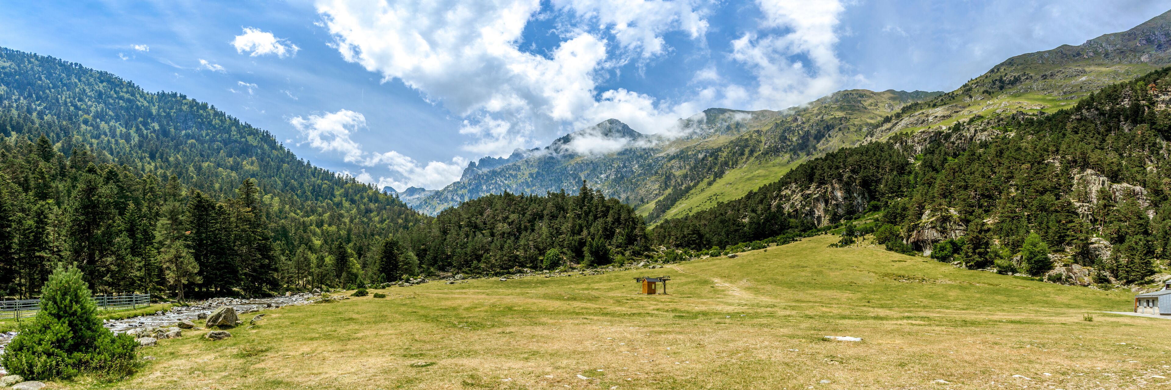 A mountainous landscape with a grassy field, a small building, and dense forests.