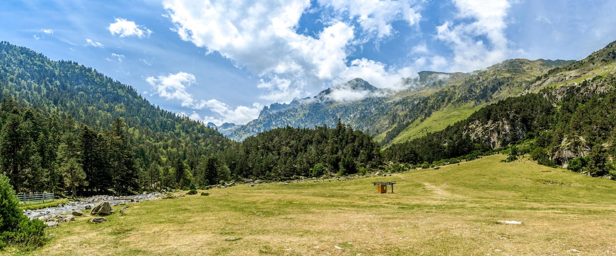 A mountainous landscape with a grassy field, a small building, and dense forests.