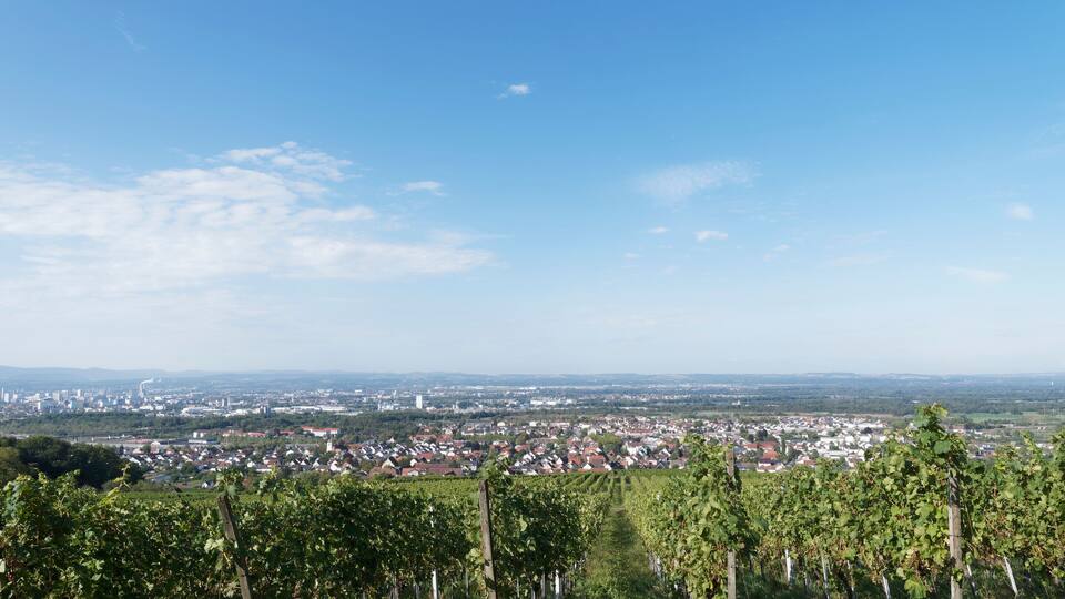 Oberrheinische Landschaften. Basel (Schweiz) und Weil-am-Rhein (Deutschland) bis Huningue (Frankreich) vom Hügel Tullingen in Lörrach aus gesehen