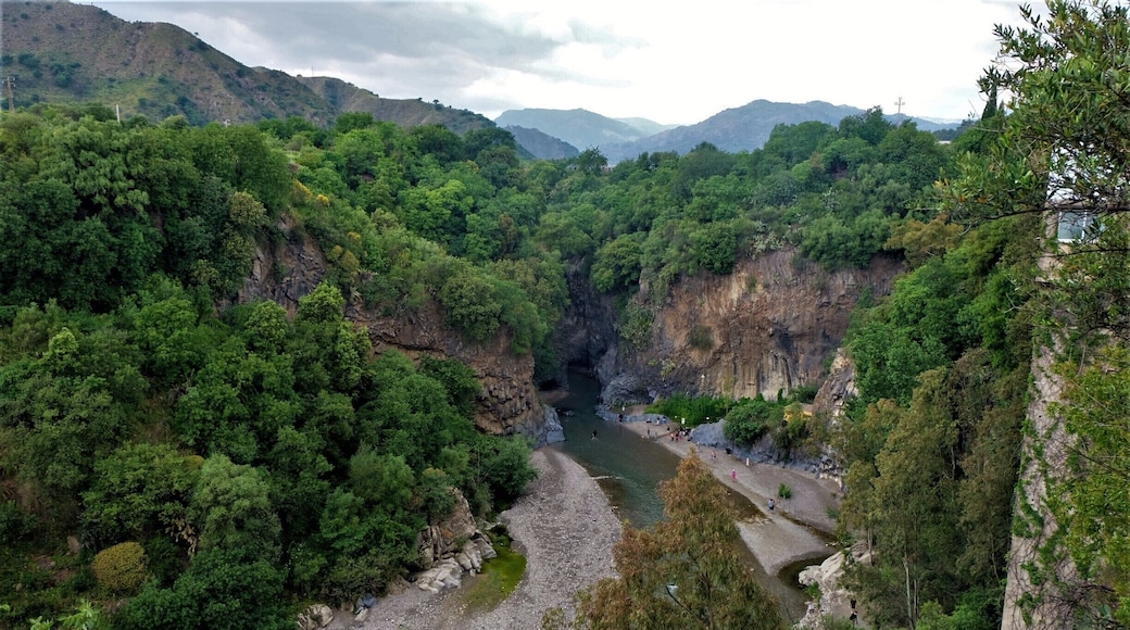 Gole Dell'Alcantara shot from upper terrace. #green
