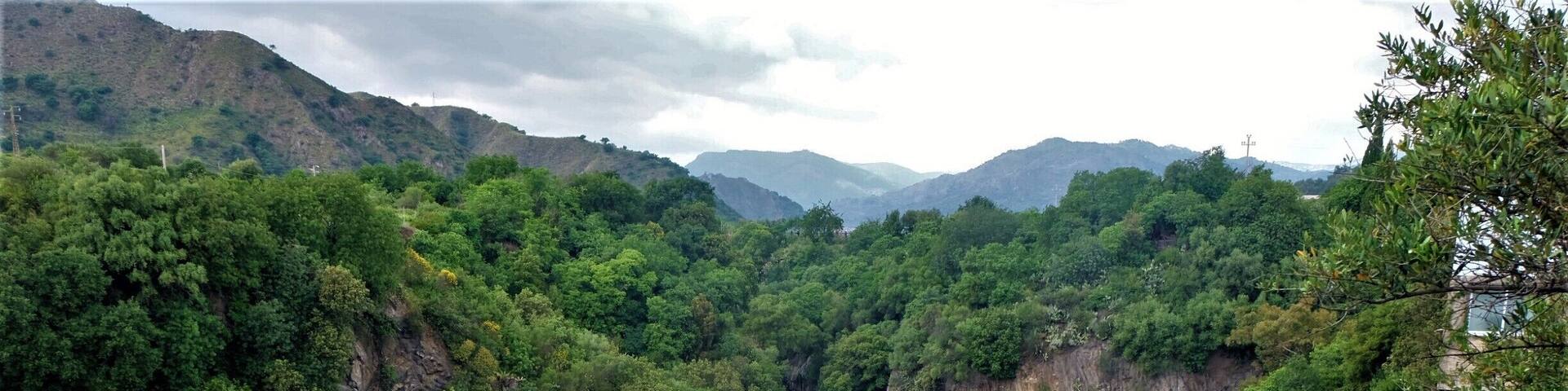 Gole Dell'Alcantara shot from upper terrace. #green