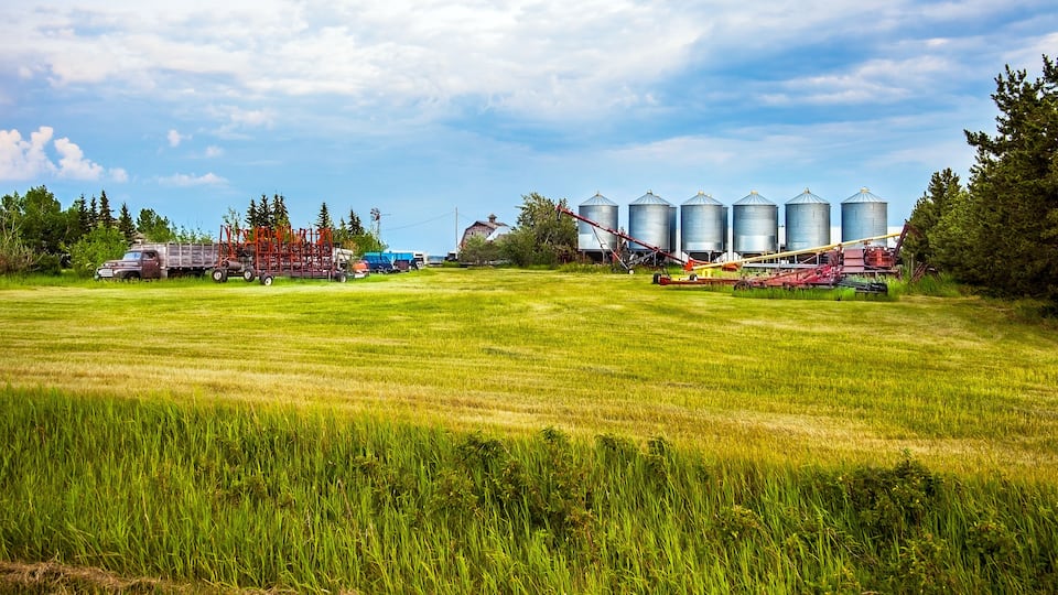 A rural landscape with a field, silos, and agricultural machinery.