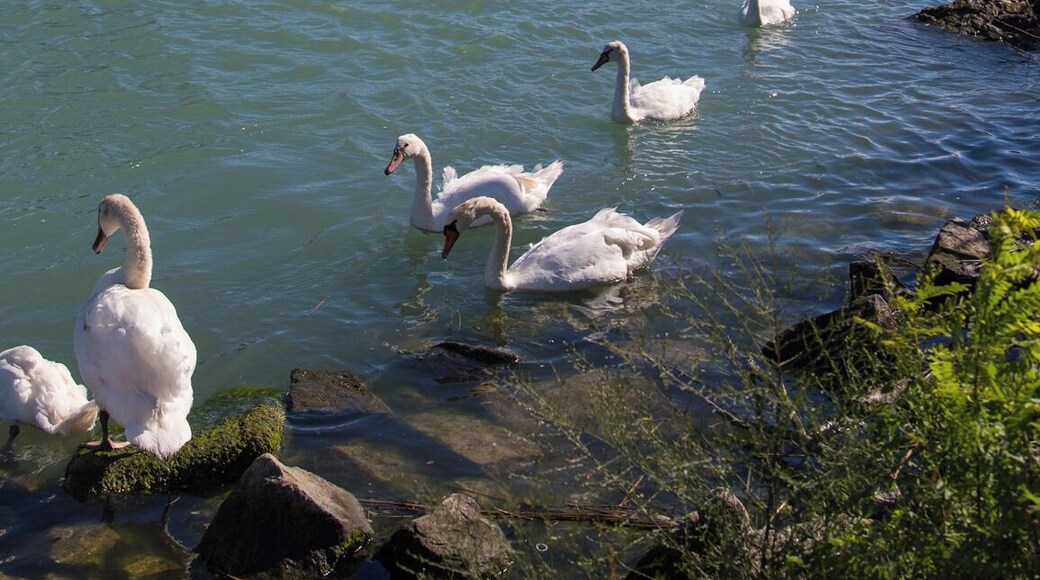 Caorle, Metropolitan City of Venice, Italy