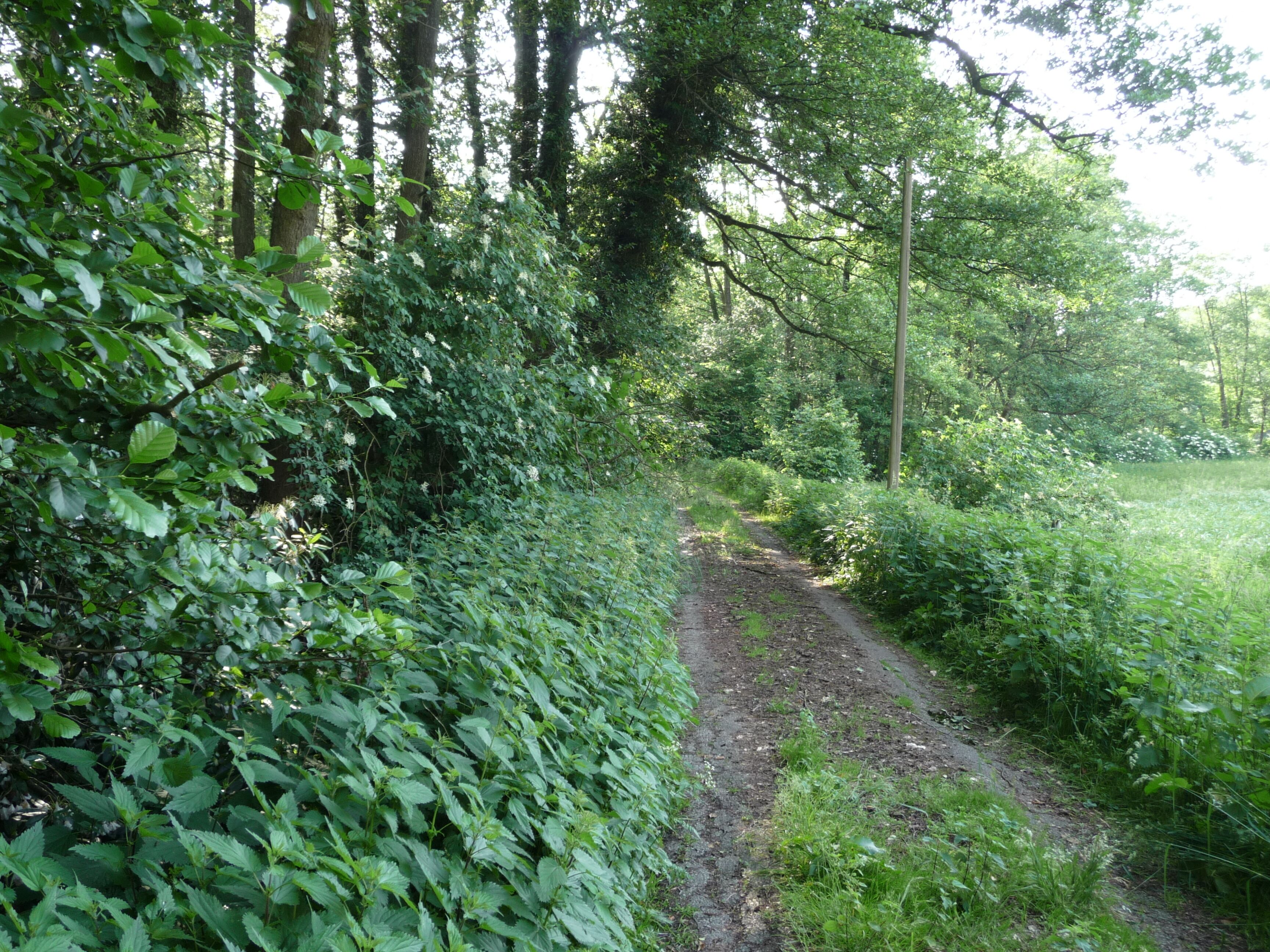 Ein großflächiges Naturschutzgebiet entlang eines Teilstücks der Hunte, von mehreren Standorten aus gesehen. Die letzten Standorte (Quelle) befinden sich auf dem Meller Berg nahe der EXPO-Sternwarte. Ein wunderschönes Stück Natur.