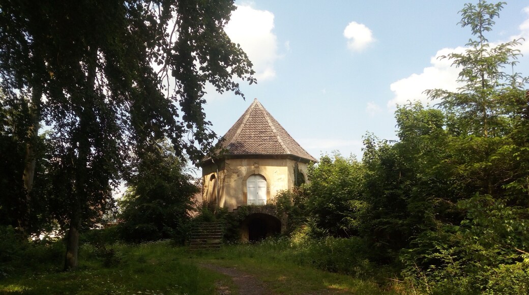 Hier ein etwas größeres Waldgebiet in Westerhausen Am Wulberg, welches durch eine Schranke abgesperrt ist. Gleich am Eingang findet man linksseitig ein verlassenes Haus und rechts ein ca. 5 m hohes Holzkreuz als Gedenkstätte mitten im Wald.