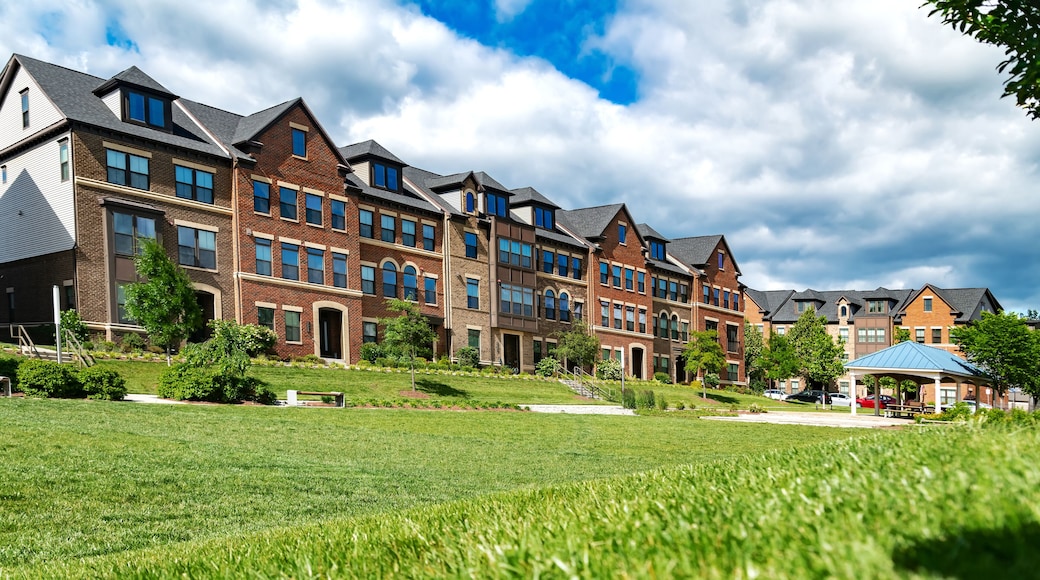 New modern apartment building with green space in Ashburn. Part of an urban property, condominium architecture.