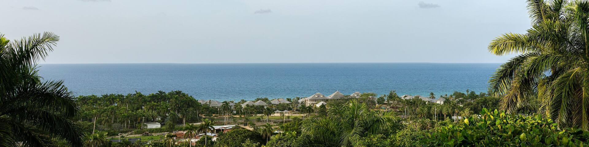 A coastal town with houses and palm trees, overlooking the ocean.