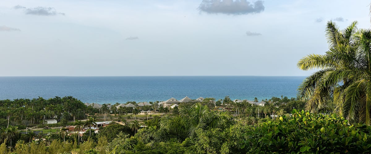 A coastal town with houses and palm trees, overlooking the ocean.