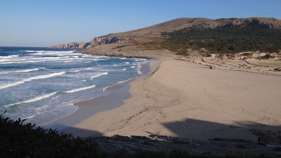 A beach with waves, a rocky hill, and sparse vegetation.