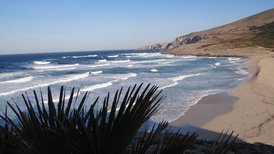 A beach with waves crashing onto the shore, a sandy beach, and rocky cliffs in the background.