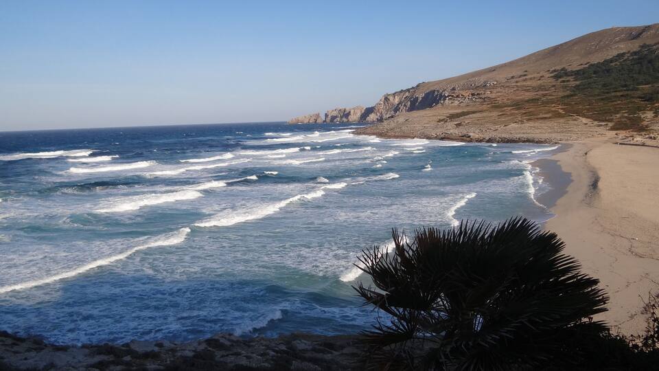A coastal landscape with waves crashing onto a sandy beach, rocky cliffs, and sparse vegetation.