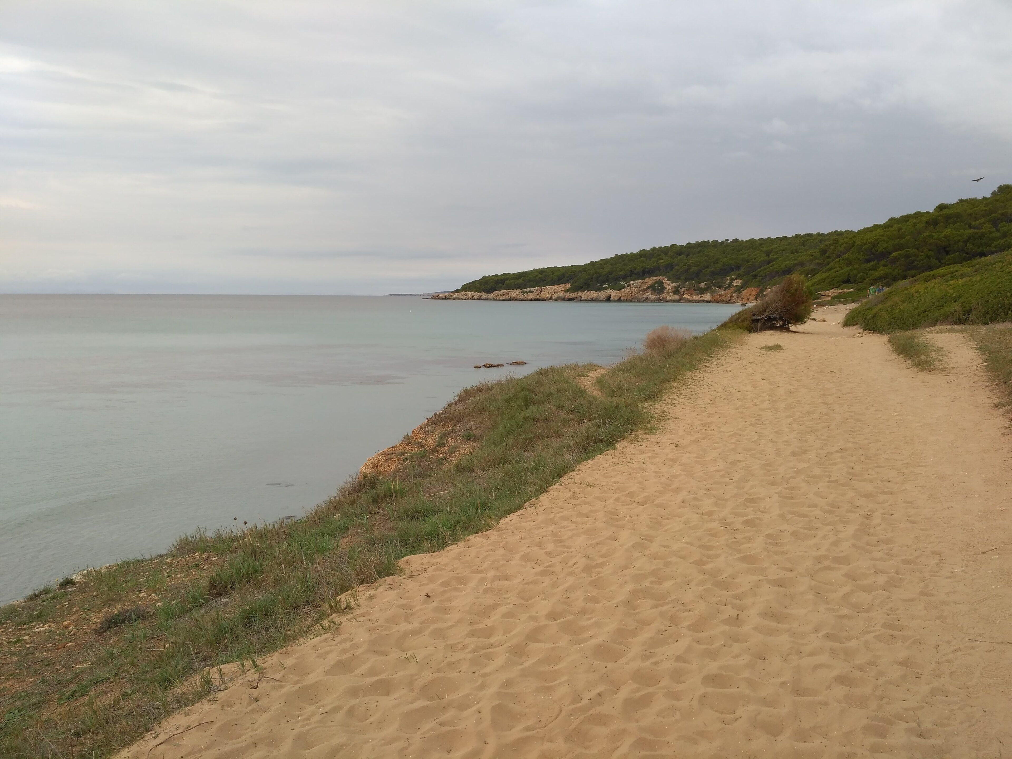 This is a photography of a Site of Community Importance in Spain with the ID: