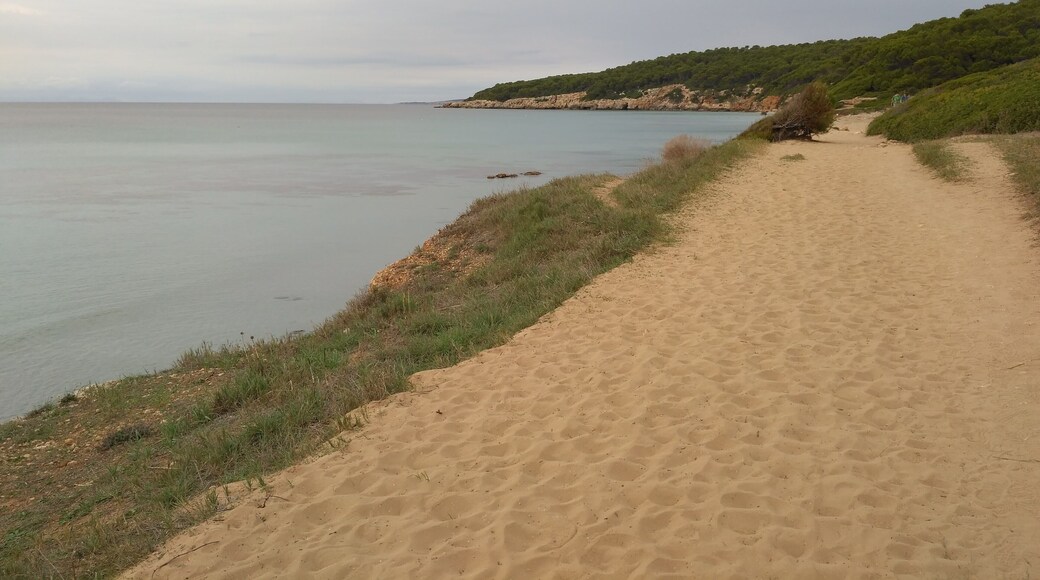 This is a photography of a Site of Community Importance in Spain with the ID: