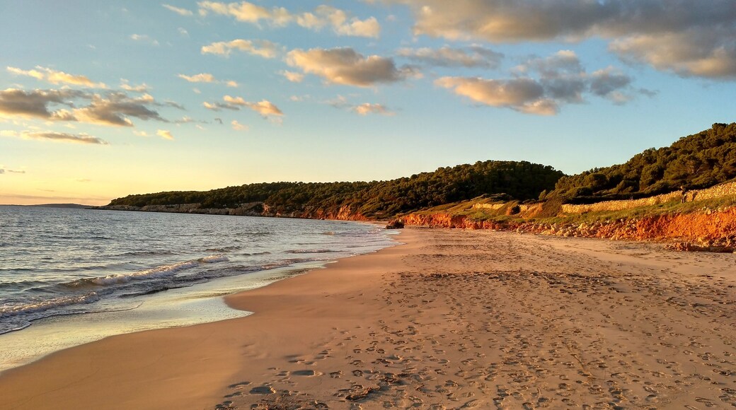 This is a photography of a Site of Community Importance in Spain with the ID: