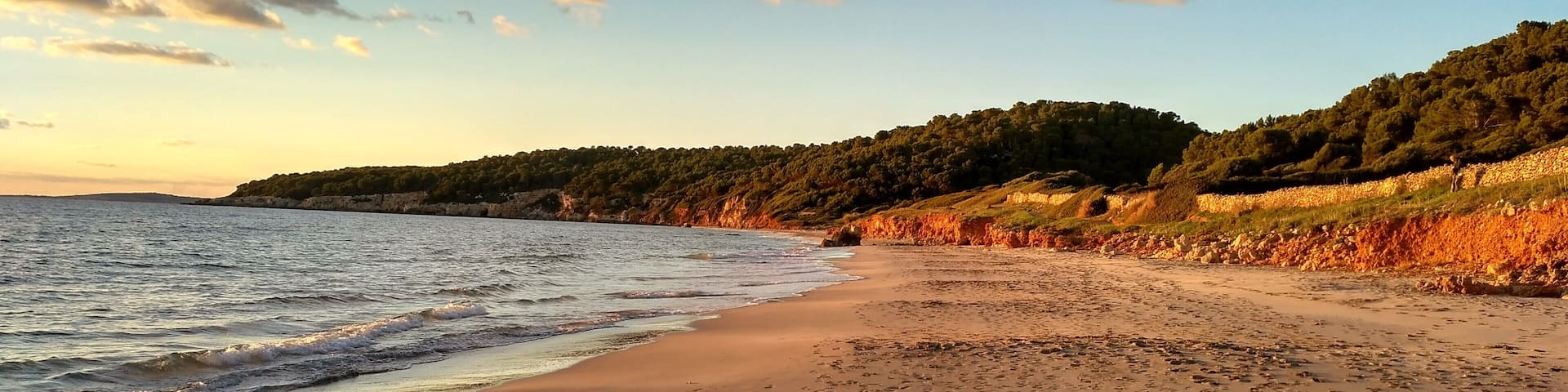 A beach with footprints in the sand, a calm sea, and a forested hillside in the background.