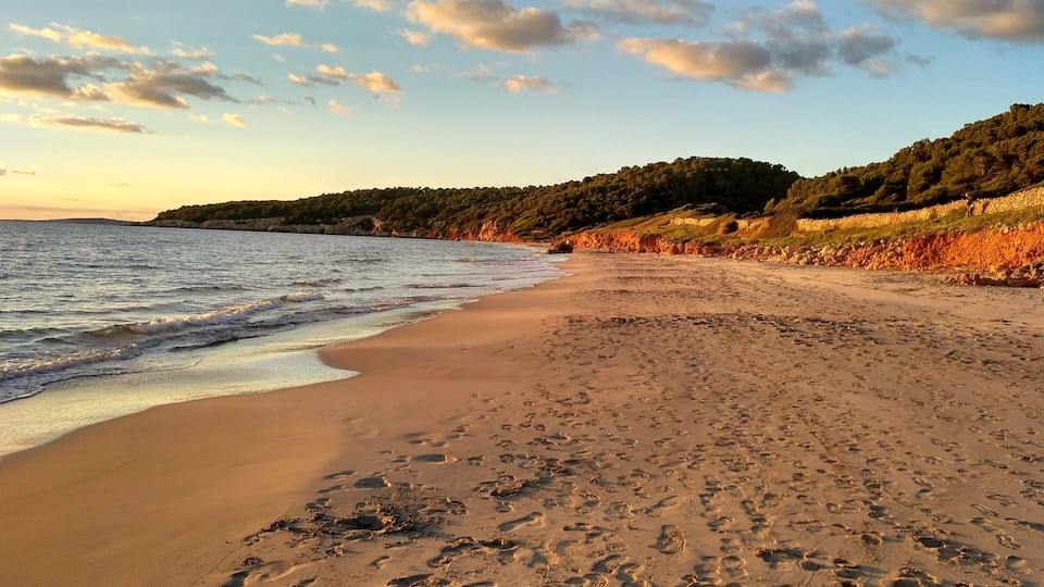 A beach with footprints in the sand, a calm sea, and a forested hillside in the background.