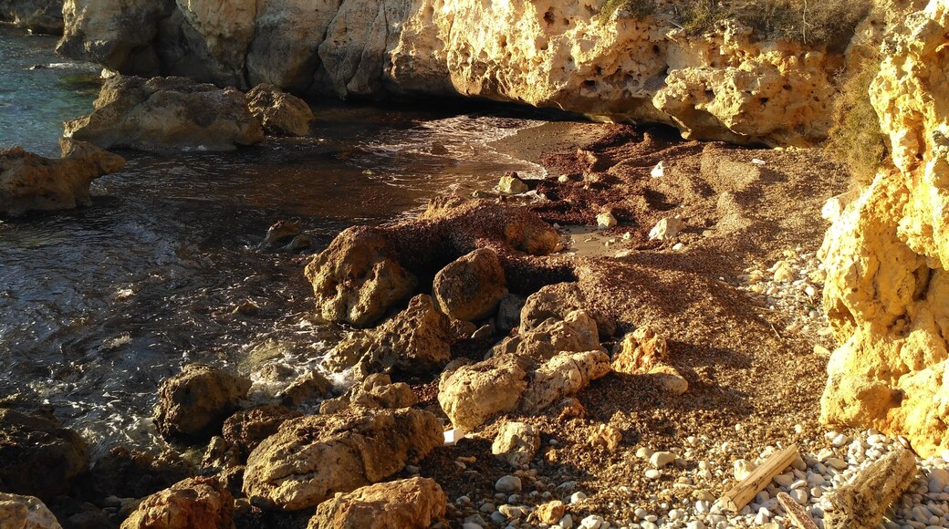 This is a photography of a Site of Community Importance in Spain with the ID: