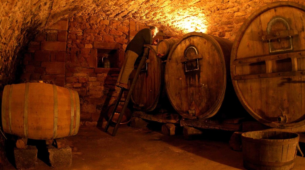 Millau que incluye vistas interiores