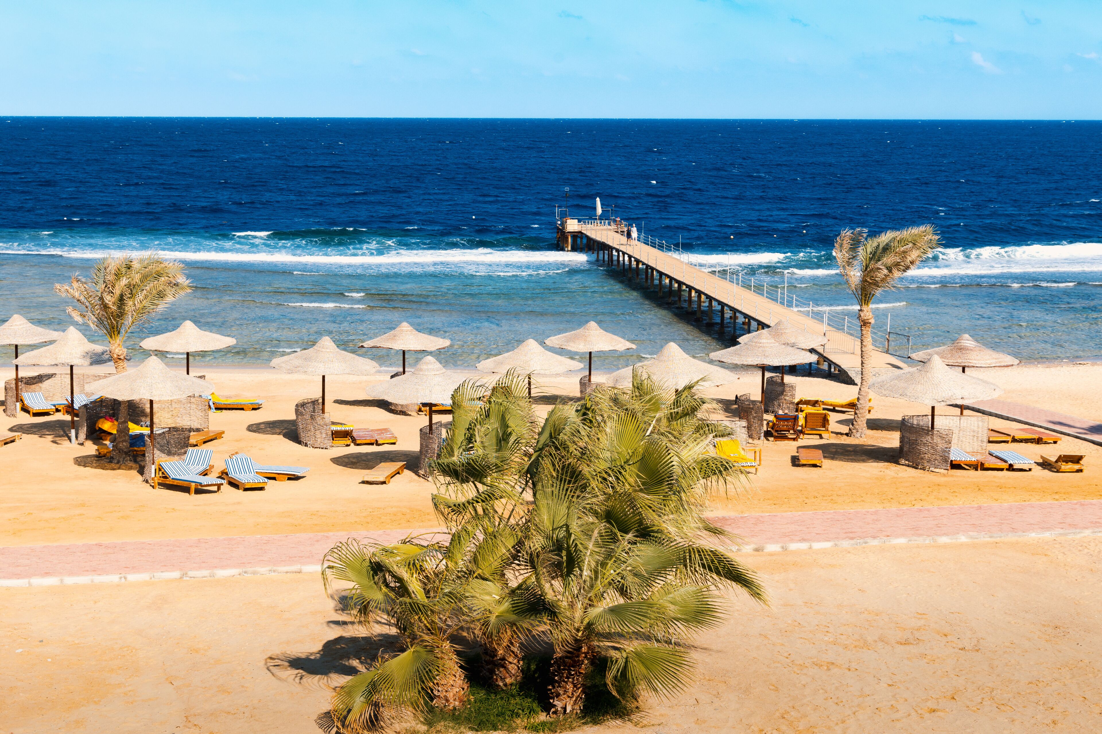 Resort sandy beach with sunbeds and umbrellas, palm trees, diving pier on sunny day, Marsa Alam, Egypt