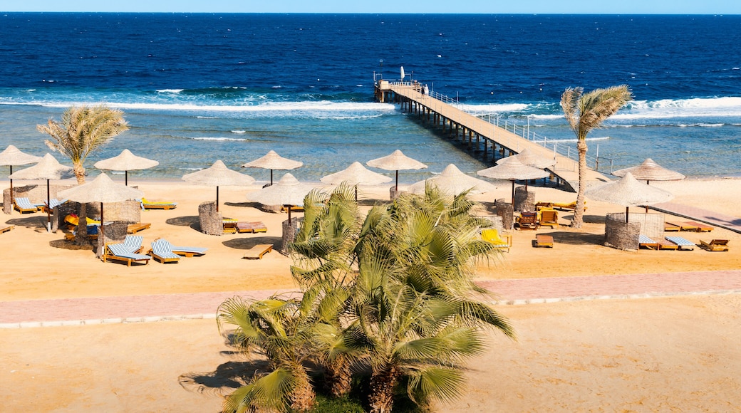 Resort sandy beach with sunbeds and umbrellas, palm trees, diving pier on sunny day, Marsa Alam, Egypt