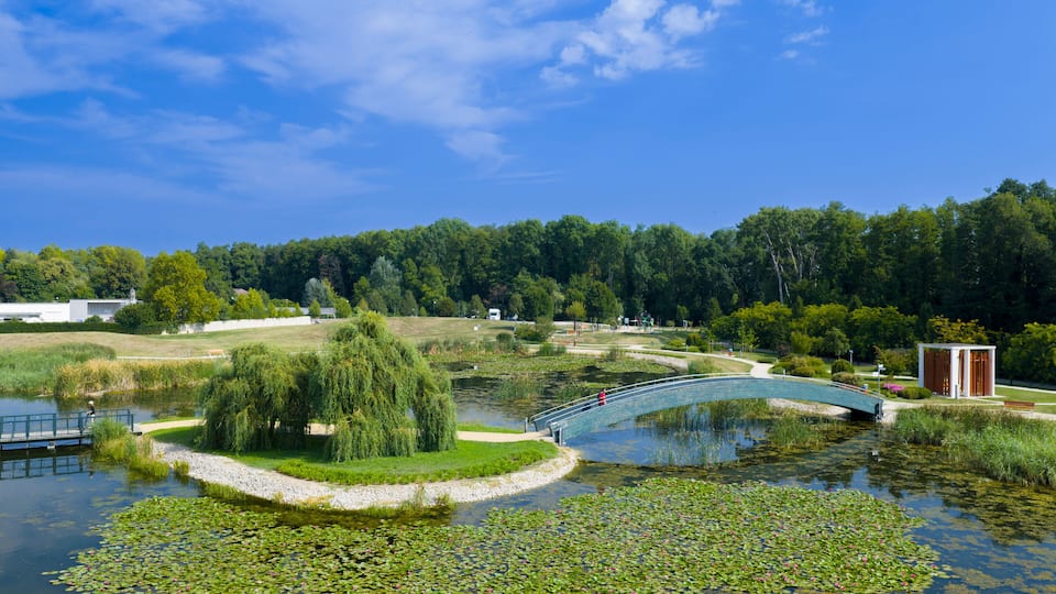 A park with a curved bridge over a pond, surrounded by trees and a small building.