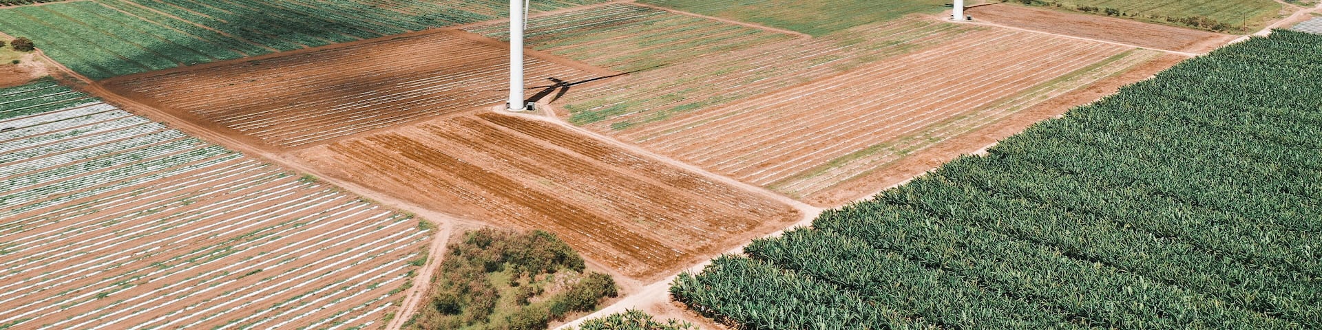 Aerial view of Wind Turbines in the windfarm of Santa Isabel, Puerto Rico