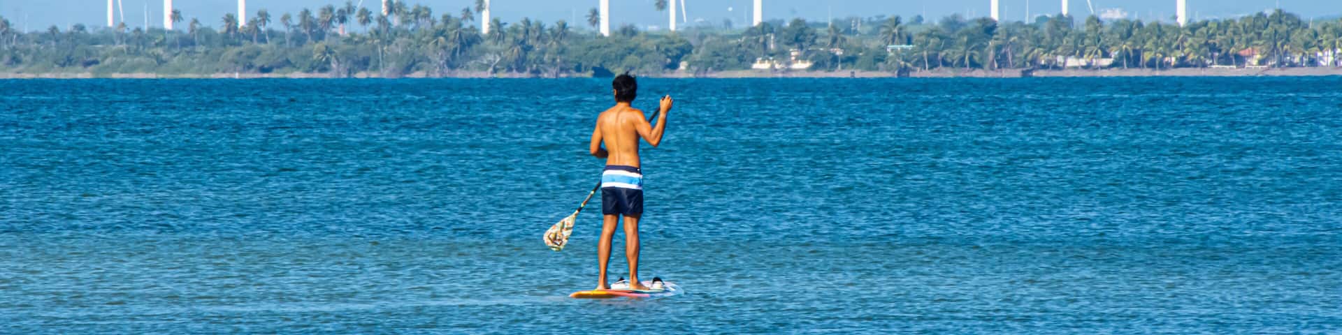 A man paddle boarding in the Bahia de Rincon with the wind turbines of the Santa Isabel wind farm in the distance.. Salinas, Puerto Rico.