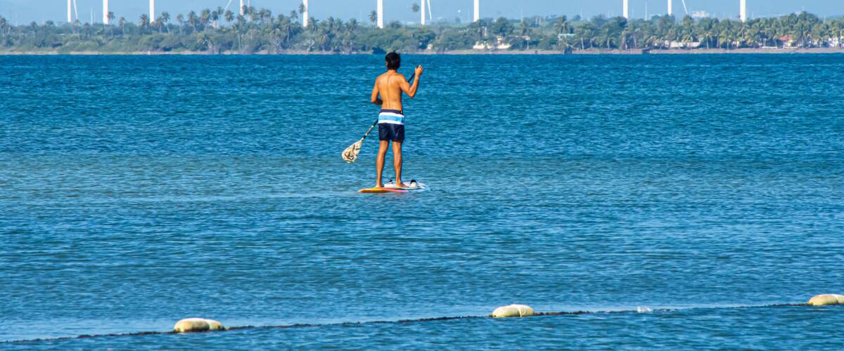 A person paddleboarding on a calm sea with wind turbines in the background.