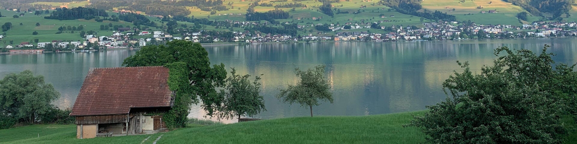 Beautiful Lake Sarnen views on a clear summer evening...Swiss nature at its best