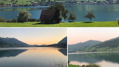 Lake Sarnen views...