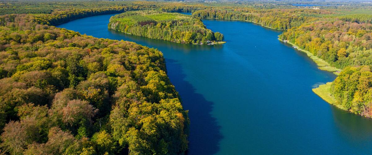 A river meandering through a forested landscape with a clear blue sky.