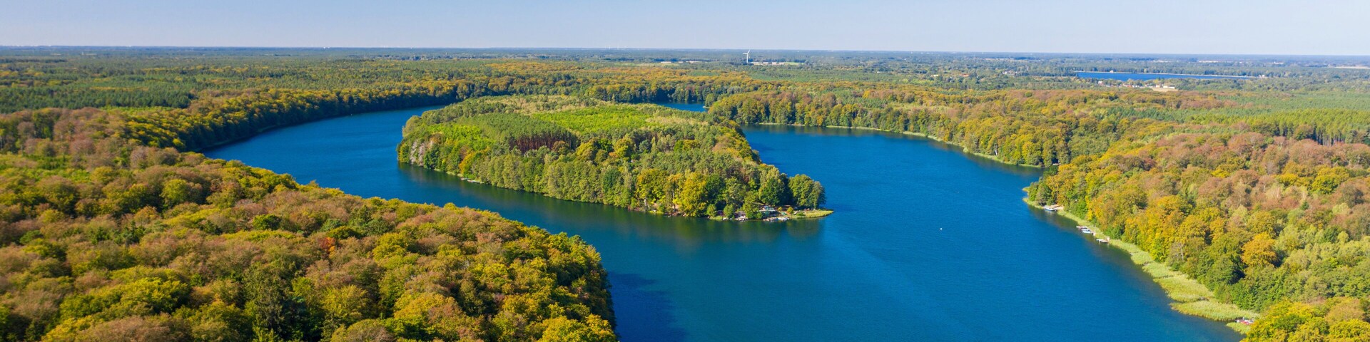 A river meandering through a forested landscape with a clear blue sky.