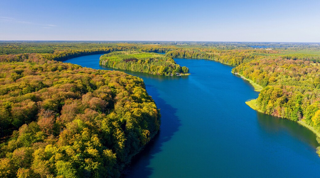 Een rivier kronkelt door een dicht bebost landschap, met een helderblauwe lucht erboven.