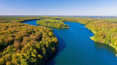 Een rivier kronkelt door een dicht bebost landschap, met een helderblauwe lucht erboven.