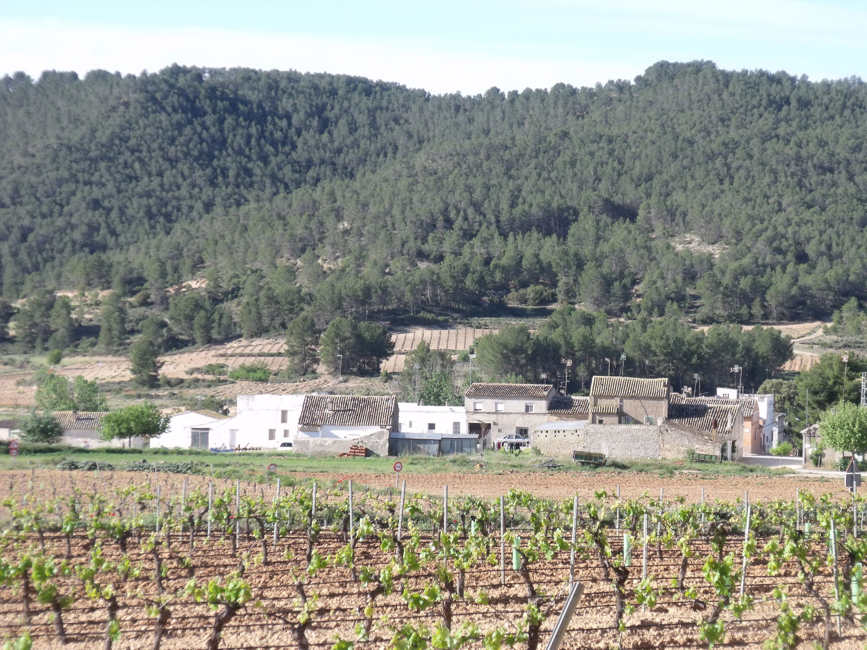 Vista general de la pedanía de Requena