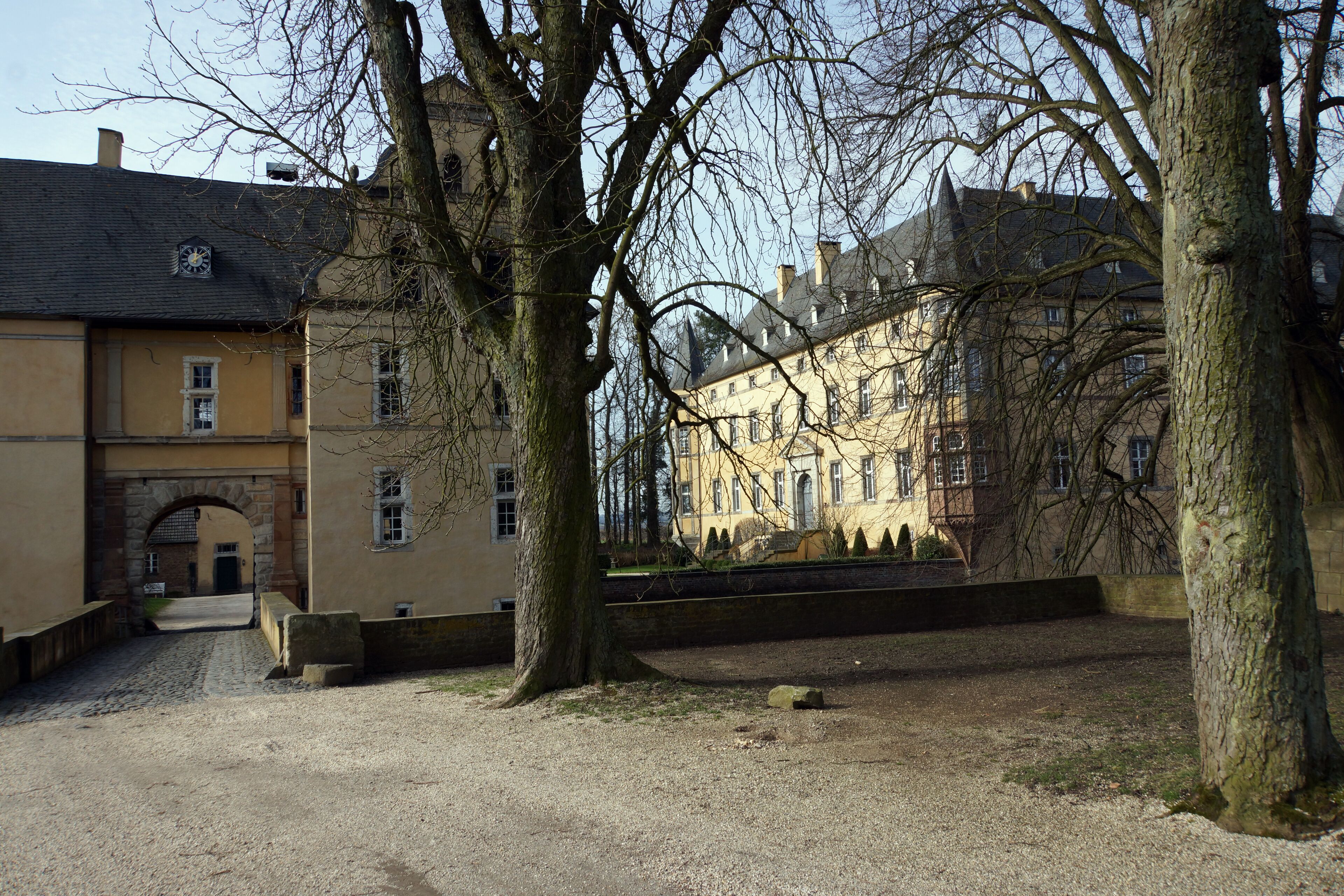 A cobblestone courtyard with a historic building, a tree, and a stone archway.