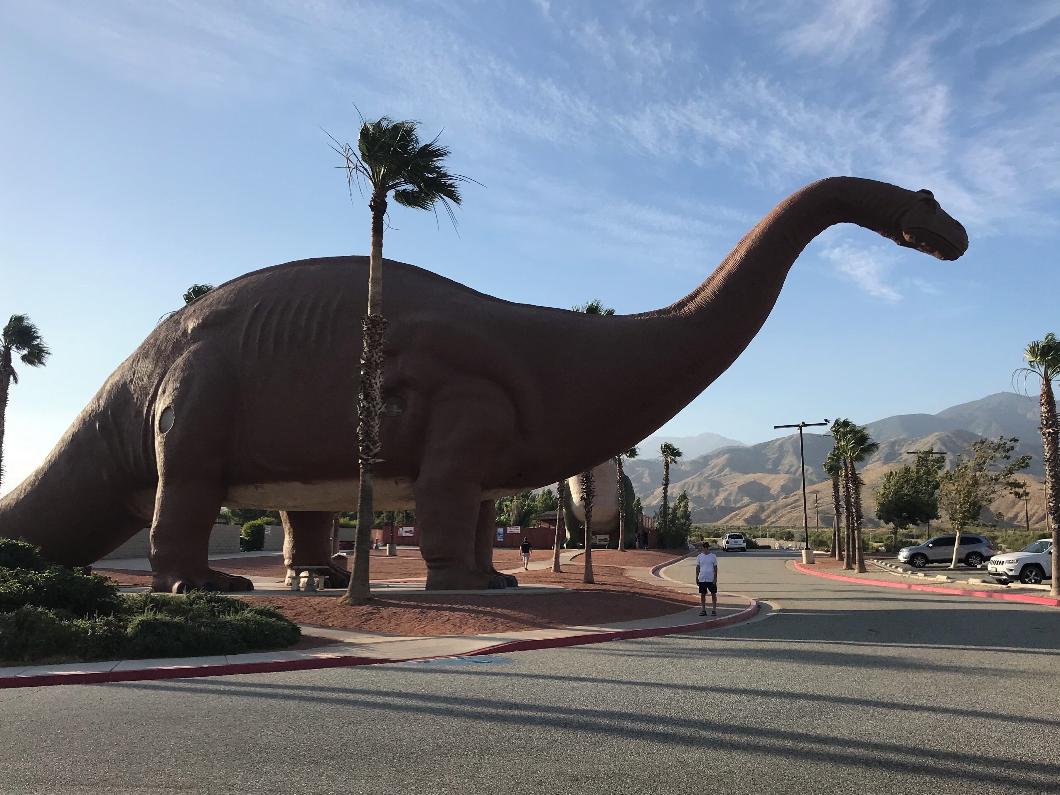 On the road to Palm Springs. Perfect rest stop for kids/families. You can climb in the dinosaurs for a small fee. #Trovember