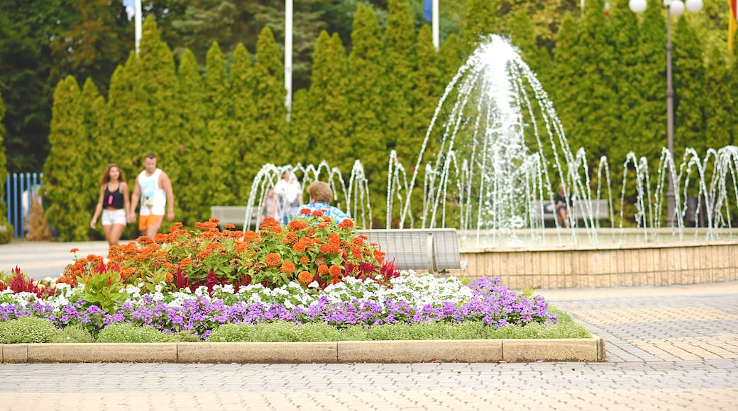 Park detail in Hajduszoboszlo, Hungary; Shutterstock ID 309956246