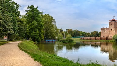 The only remaining brick-built medieval fortress. In front of the castle is a boating lake and a huge willow tree in summer. Big size panorama view, Hungary, Gyula