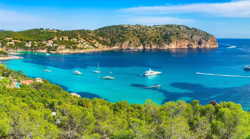 Panorama view of Camp de Mar, beautiful bay coast on Majorca island, Mediterranean Sea Spain