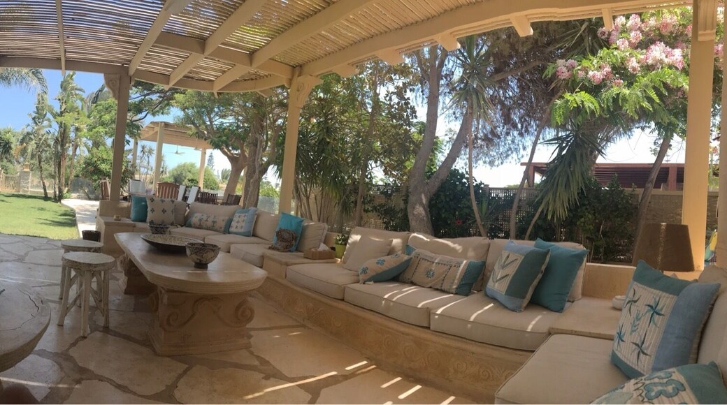 Sahel el shamali. The north coast of Egypt . Those are my favourite kind of mornings