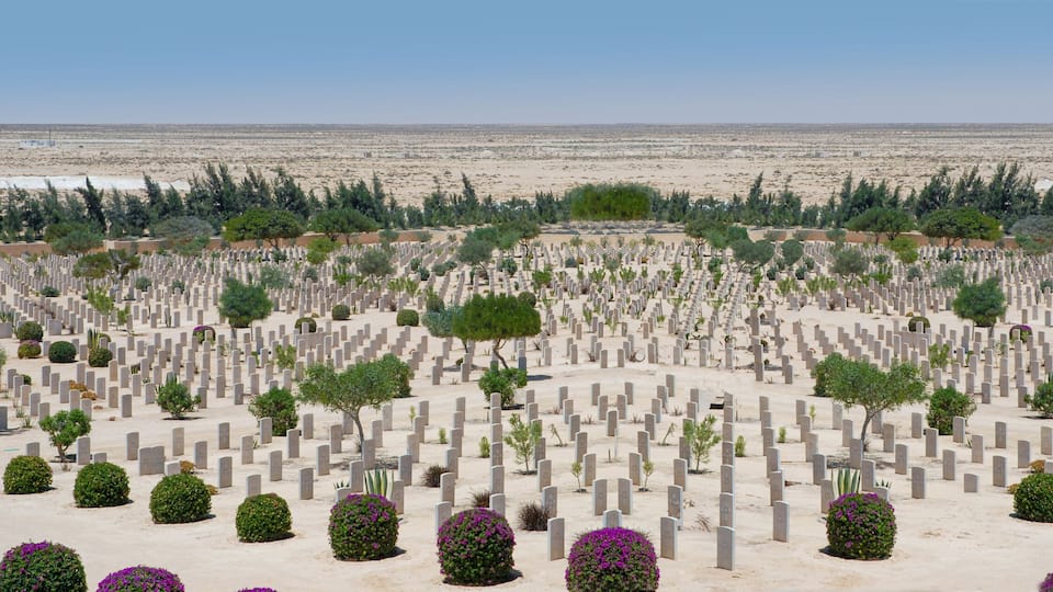 A cemetery with numerous headstones and trees.