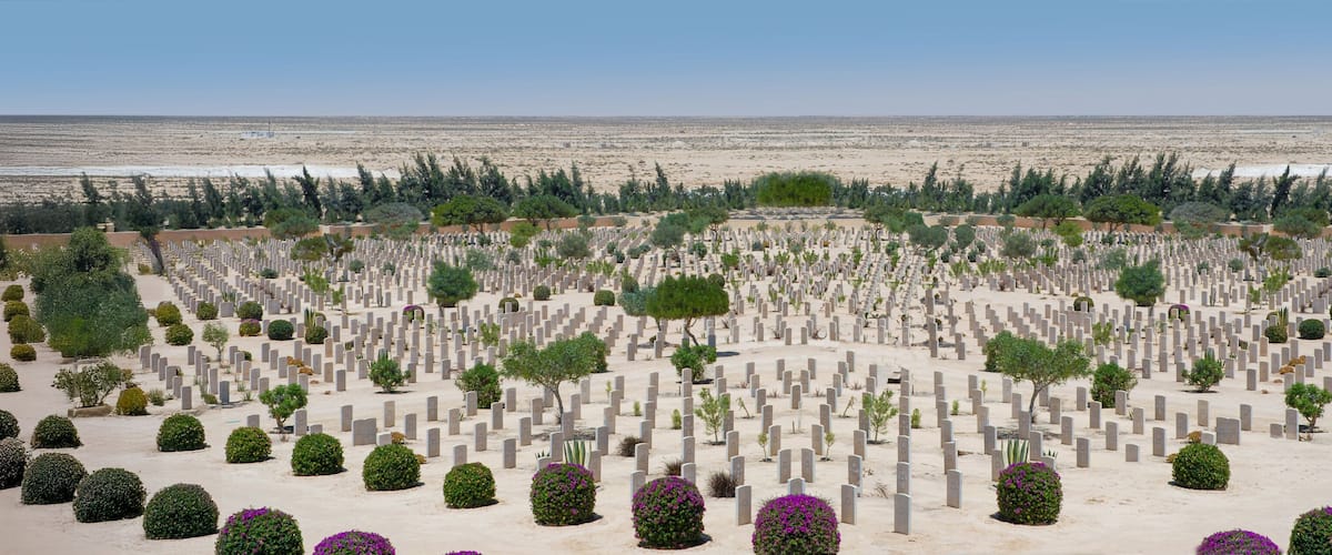 A cemetery with numerous headstones and trees.